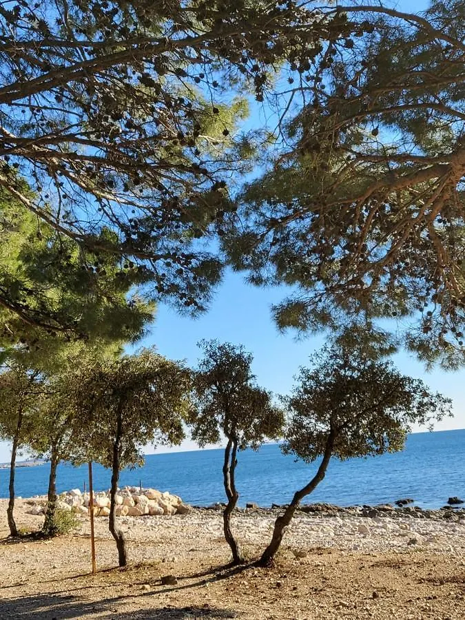 Daire Studio Apartman Pegi Šimuni